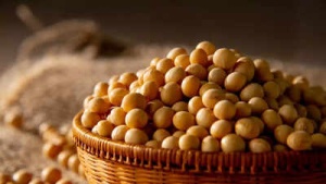 Soybean side effects: Kidney stone risks, digestive issues, hormonal imbalance, and more