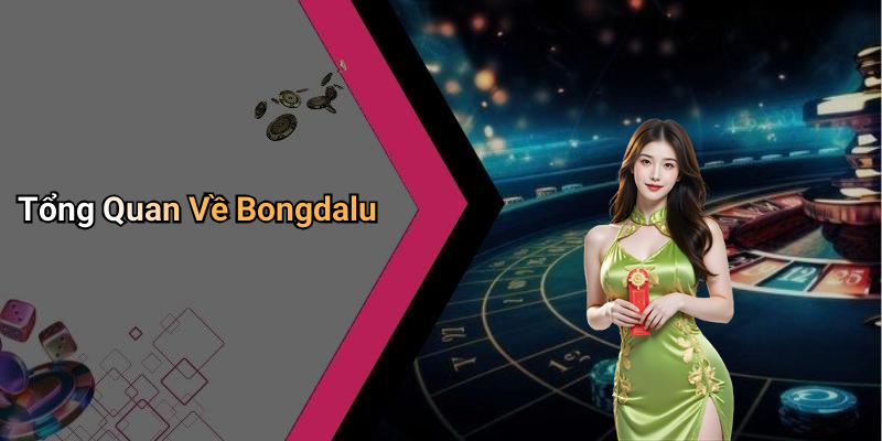 Tổng Quan Về Bongdalu