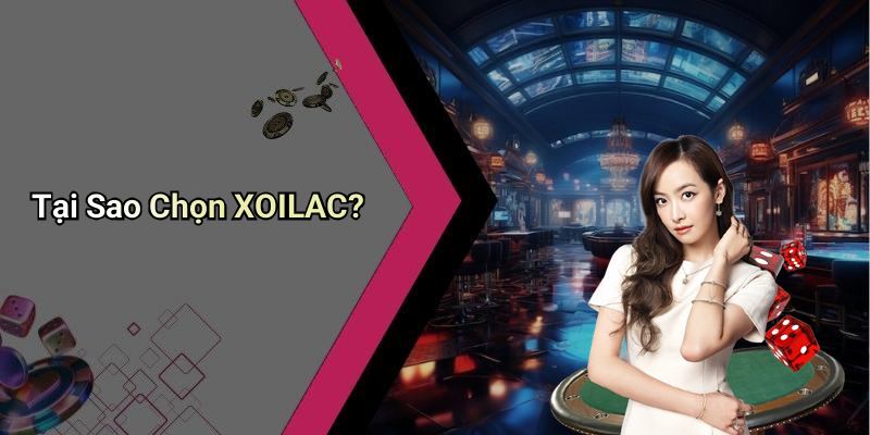 Tại Sao Chọn XOILAC?