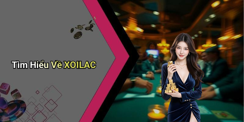 Tìm Hiểu Về XOILAC