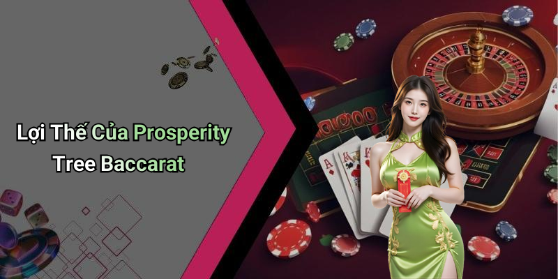 Lợi Thế Của Prosperity Tree Baccarat