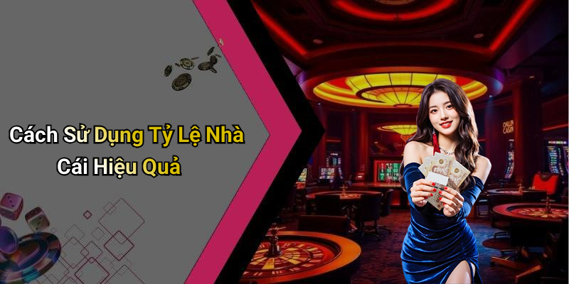 Cách Sử Dụng Tỷ Lệ Nhà Cái Hiệu Quả