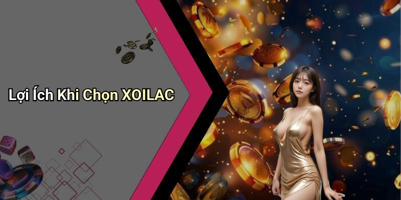 Lợi Ích Khi Chọn XOILAC